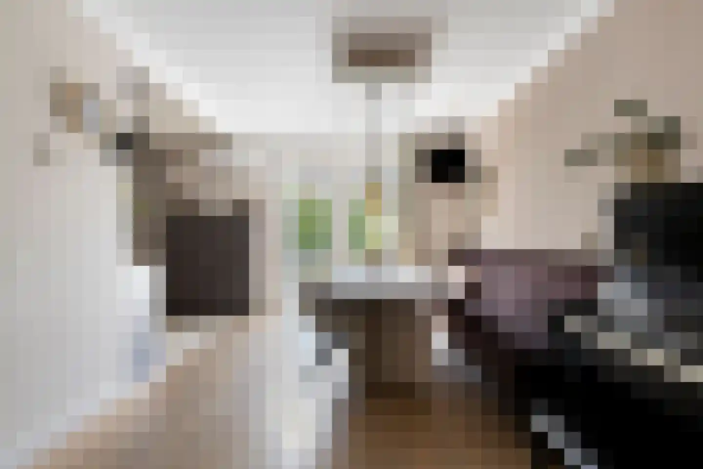 Hooilanden 39 Lemelerveld thumbnail 17