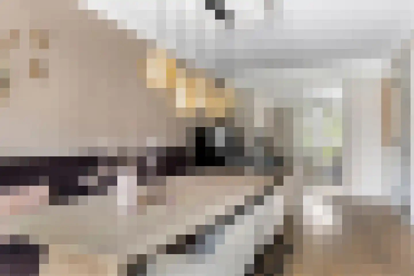 Hooilanden 39 Lemelerveld thumbnail 18