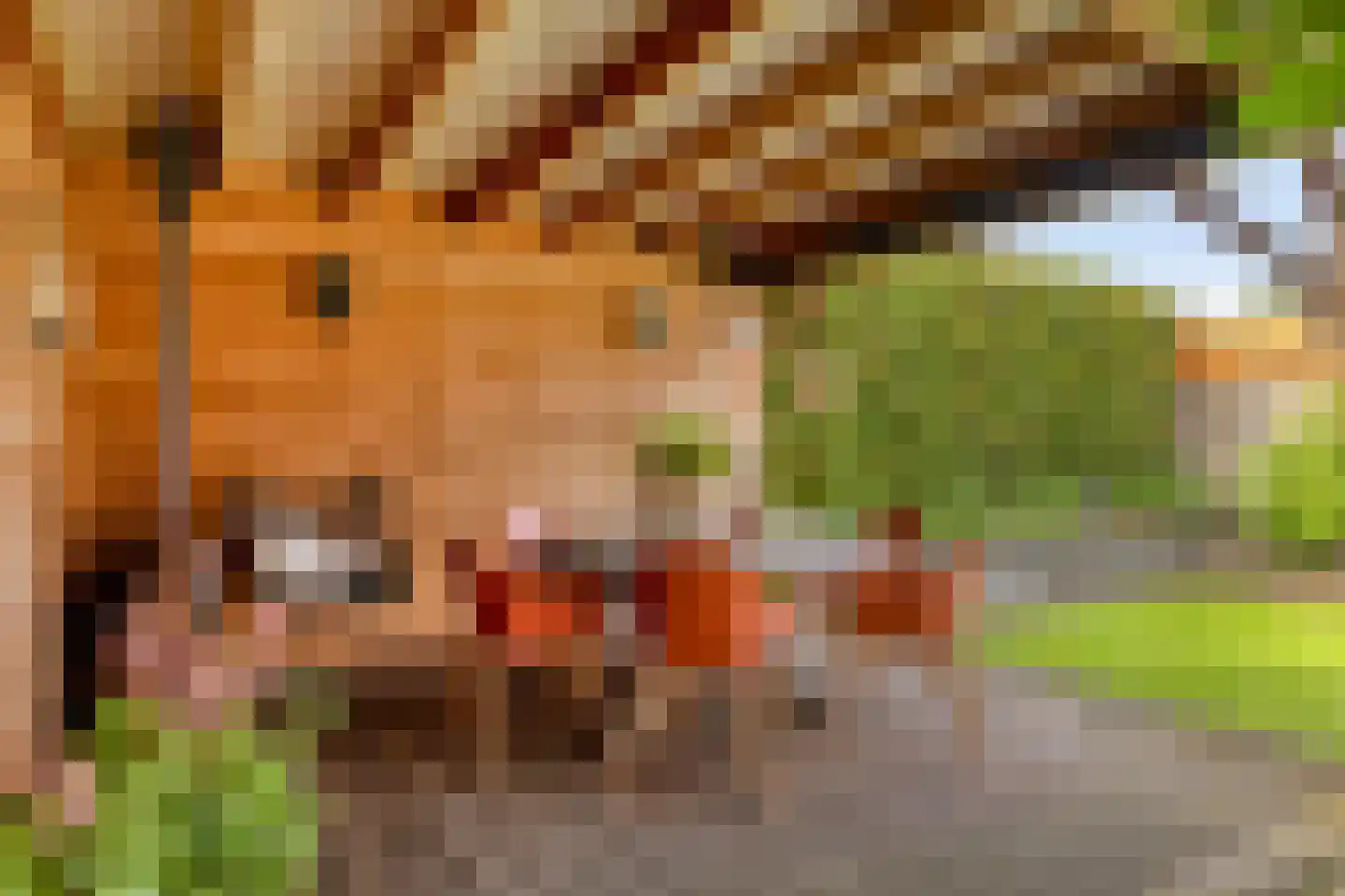 Hooilanden 39 Lemelerveld thumbnail 51