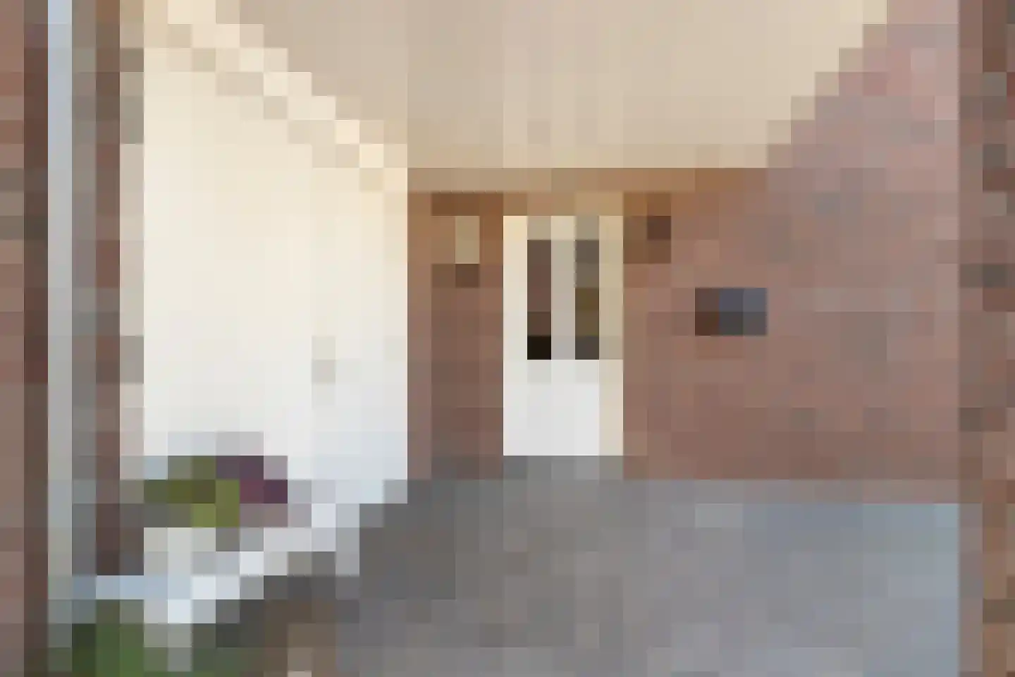Hooilanden 39 Lemelerveld thumbnail 6