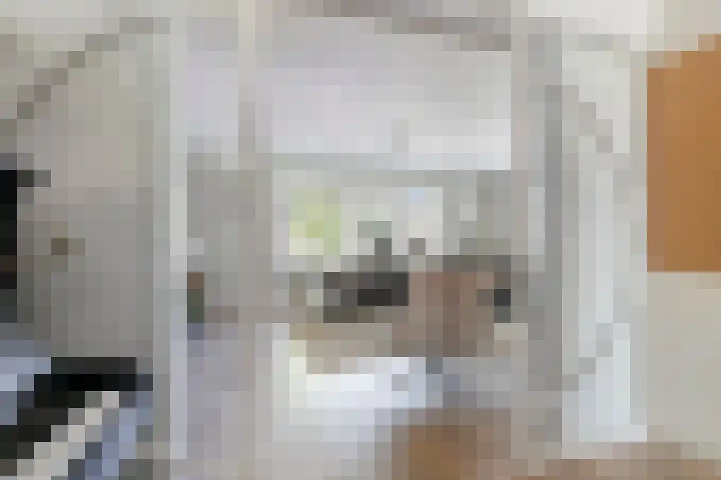 Hooilanden 39 Lemelerveld thumbnail 8