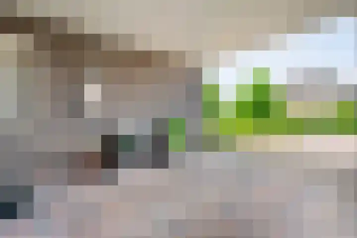 Hooilanden 43 Lemelerveld thumbnail 10