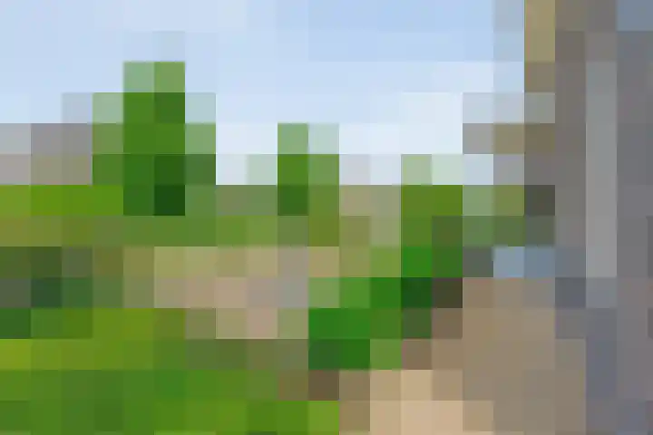 Hooilanden 43 Lemelerveld thumbnail 11