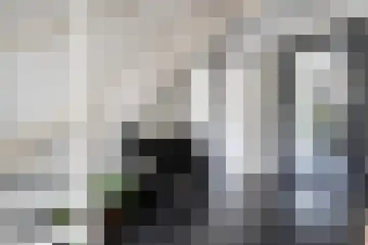 Hooilanden 43 Lemelerveld thumbnail 12