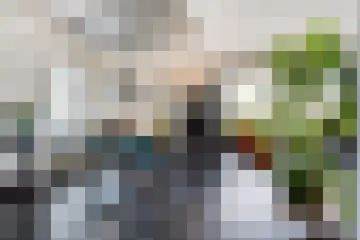 Hooilanden 43 Lemelerveld thumbnail 14