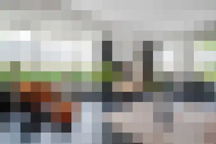 Hooilanden 43 Lemelerveld thumbnail 17