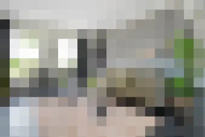 Hooilanden 43 Lemelerveld thumbnail 18