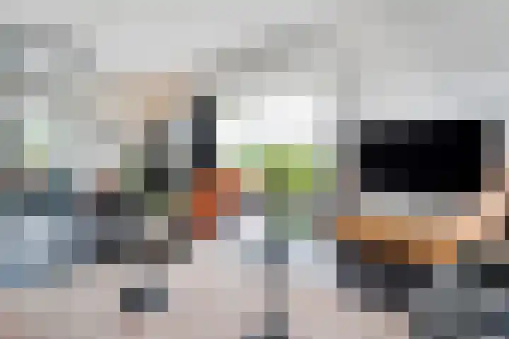 Hooilanden 43 Lemelerveld thumbnail 19