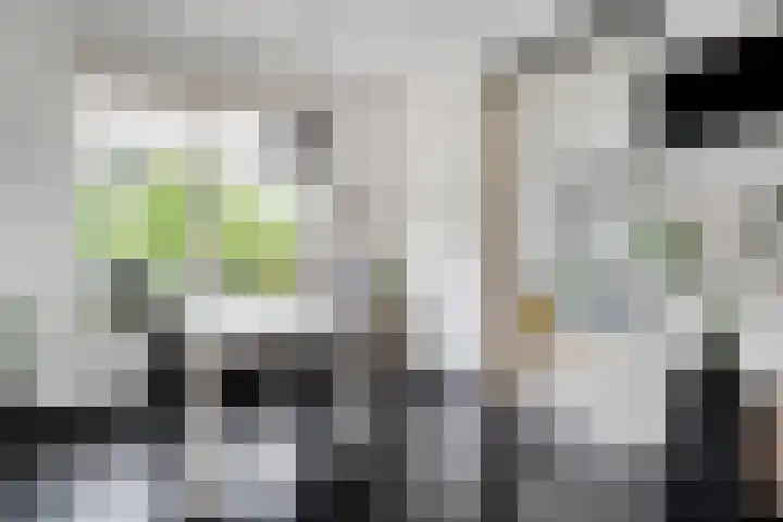 Hooilanden 43 Lemelerveld thumbnail 26