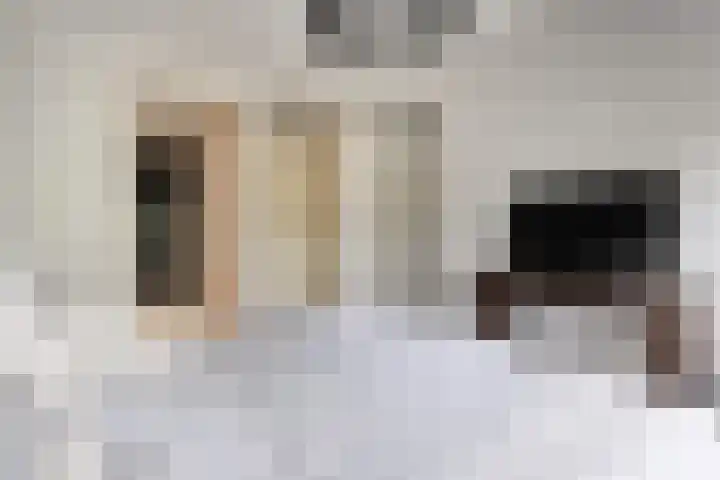 Hooilanden 43 Lemelerveld thumbnail 30