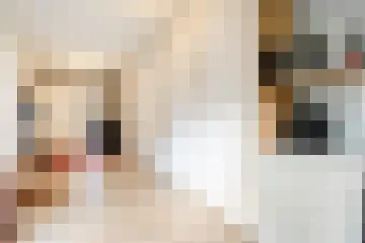 Hooilanden 43 Lemelerveld thumbnail 33