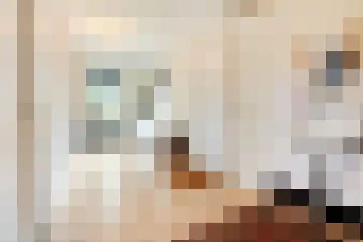Hooilanden 43 Lemelerveld thumbnail 34