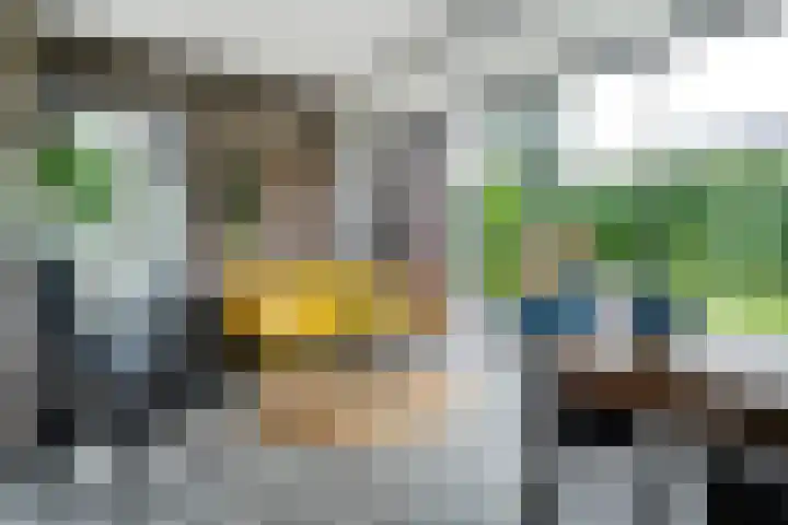 Hooilanden 43 Lemelerveld thumbnail 35