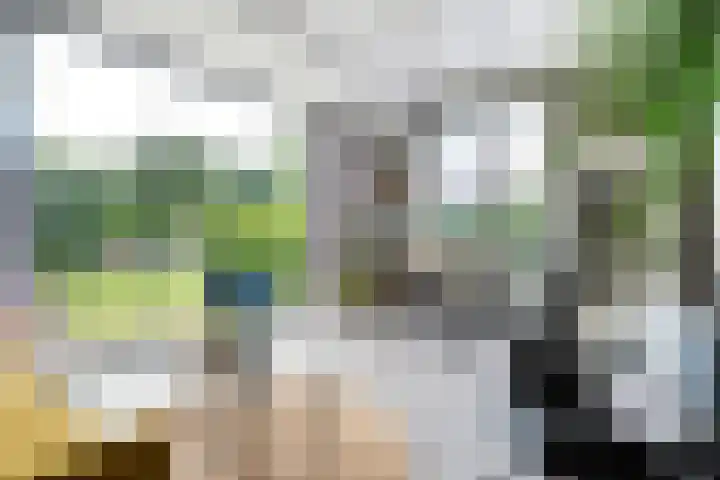 Hooilanden 43 Lemelerveld thumbnail 36