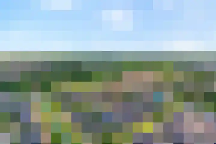 Hooilanden 43 Lemelerveld thumbnail 4