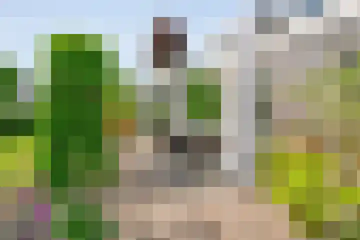 Hooilanden 43 Lemelerveld thumbnail 48