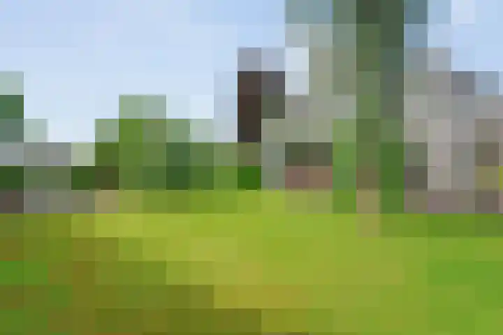 Hooilanden 43 Lemelerveld thumbnail 49