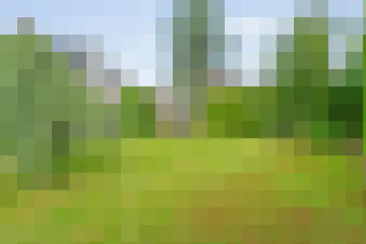 Hooilanden 43 Lemelerveld thumbnail 50