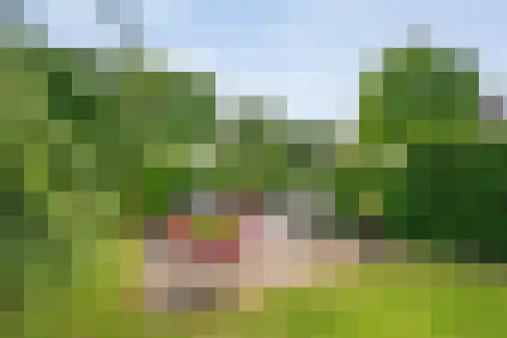Hooilanden 43 Lemelerveld thumbnail 51