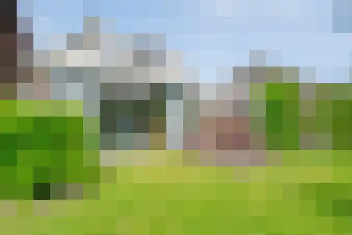 Hooilanden 43 Lemelerveld thumbnail 52