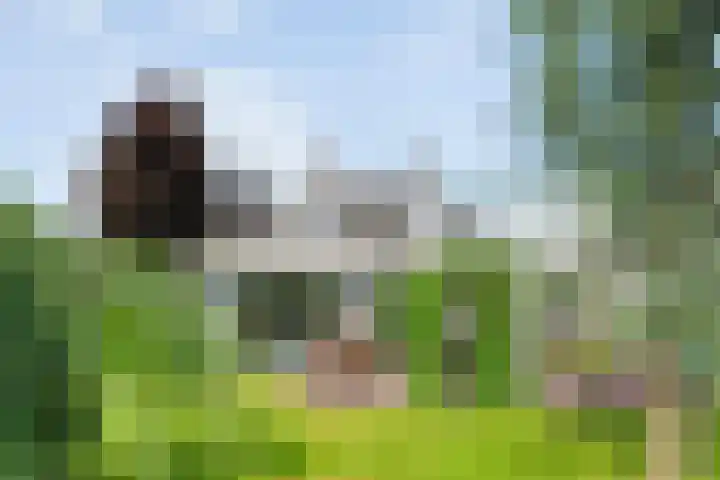 Hooilanden 43 Lemelerveld thumbnail 53