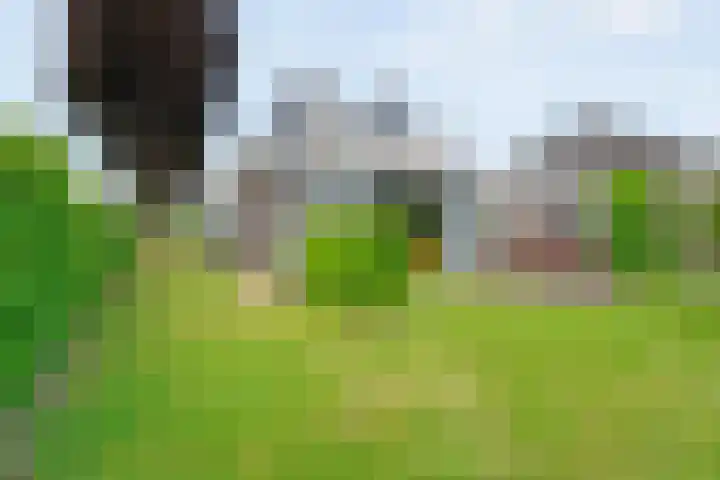 Hooilanden 43 Lemelerveld thumbnail 54