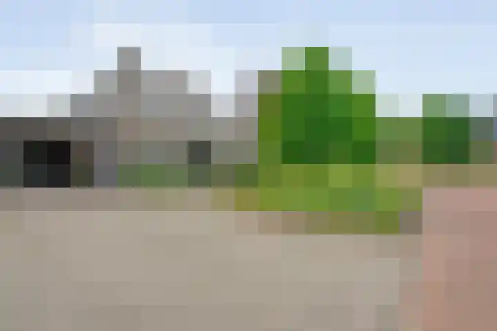 Hooilanden 43 Lemelerveld thumbnail 6