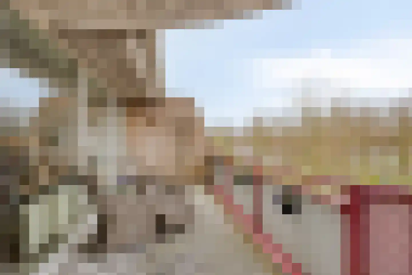 Hooilandplein 66 Wageningen thumbnail 27