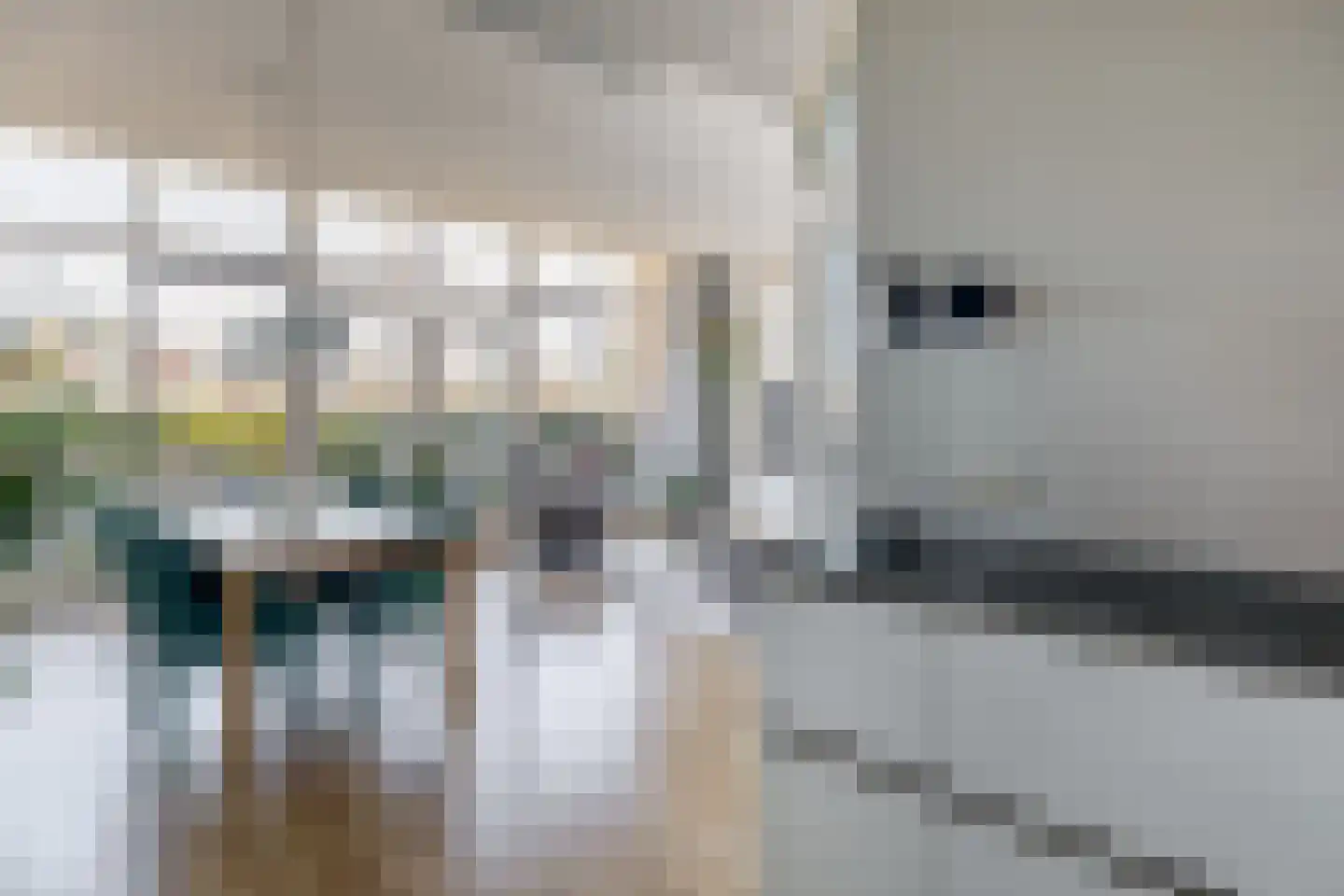 Hooilandplein 7 Wageningen thumbnail 15