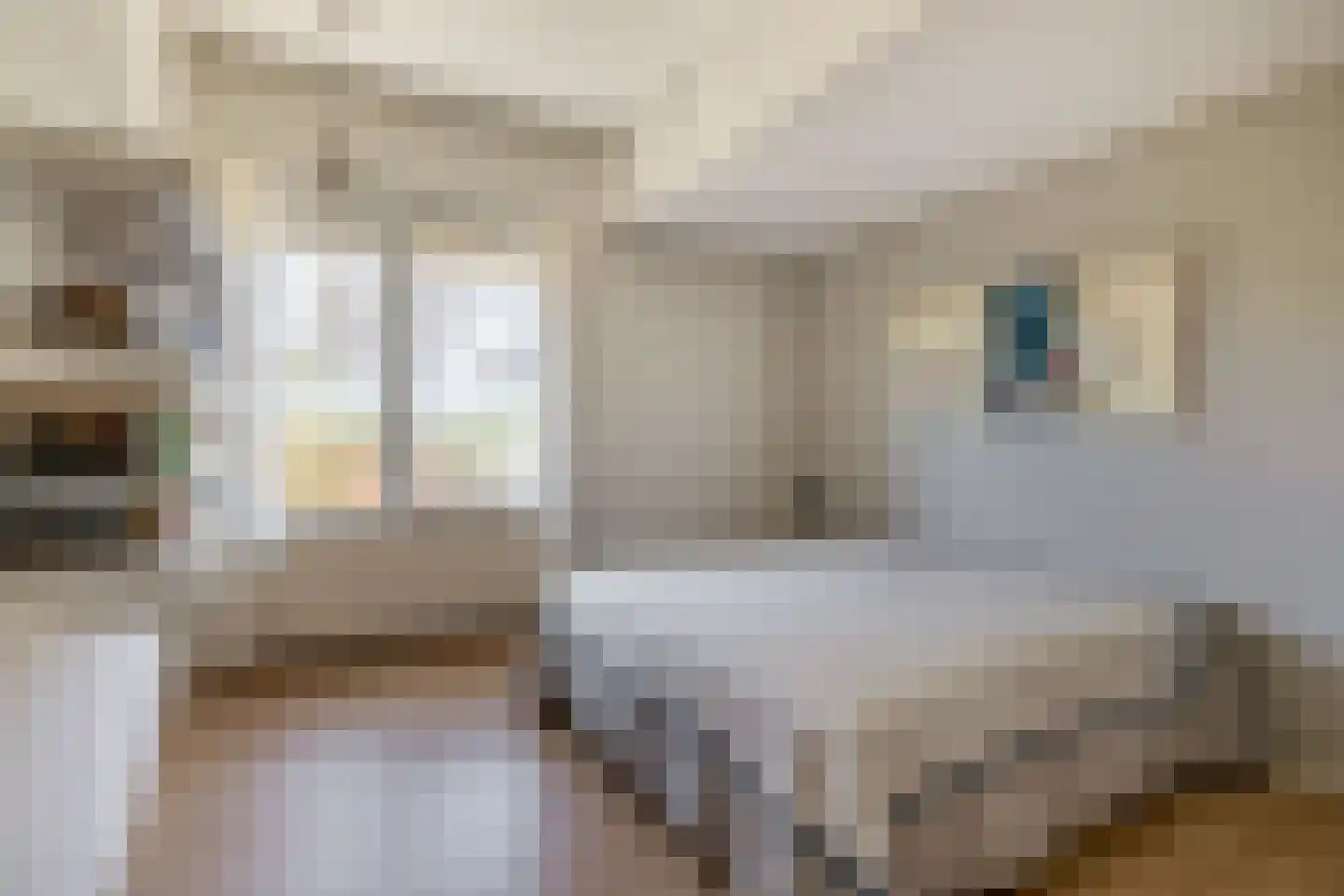 Hooilandplein 7 Wageningen thumbnail 17