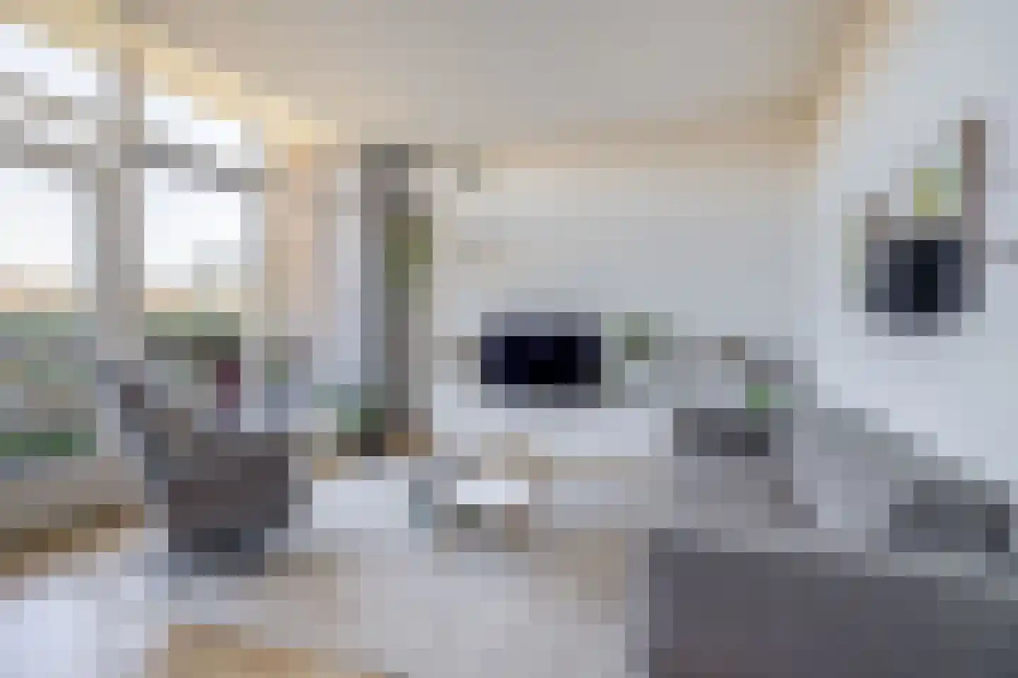 Hooilandplein 7 Wageningen thumbnail 8