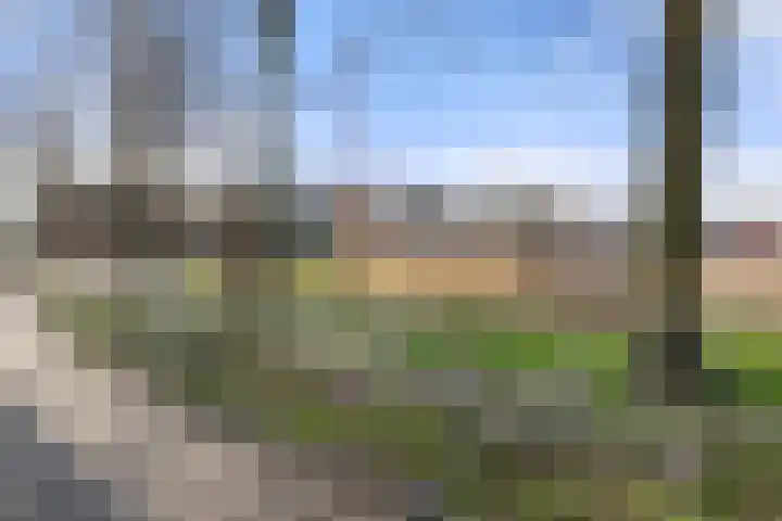 Hooilandplein 8 Wageningen thumbnail 11