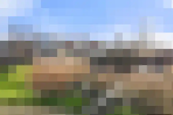 Hooilandplein 8 Wageningen thumbnail 12