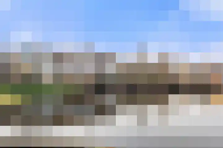 Hooilandplein 8 Wageningen thumbnail 13