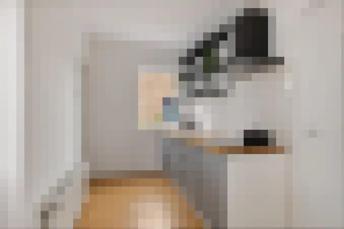 Hooilandseweg 66 Roodeschool thumbnail 18