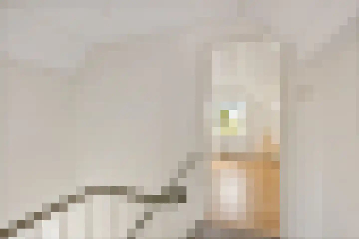 Hooilandseweg 66 Roodeschool thumbnail 26