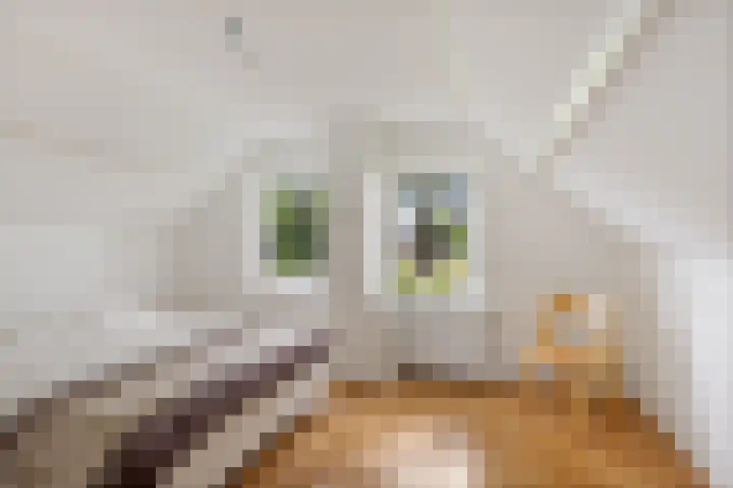 Hooilandseweg 66 Roodeschool thumbnail 28