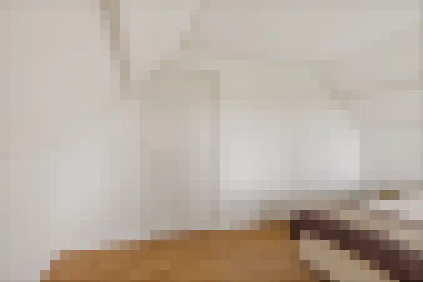 Hooilandseweg 66 Roodeschool thumbnail 31