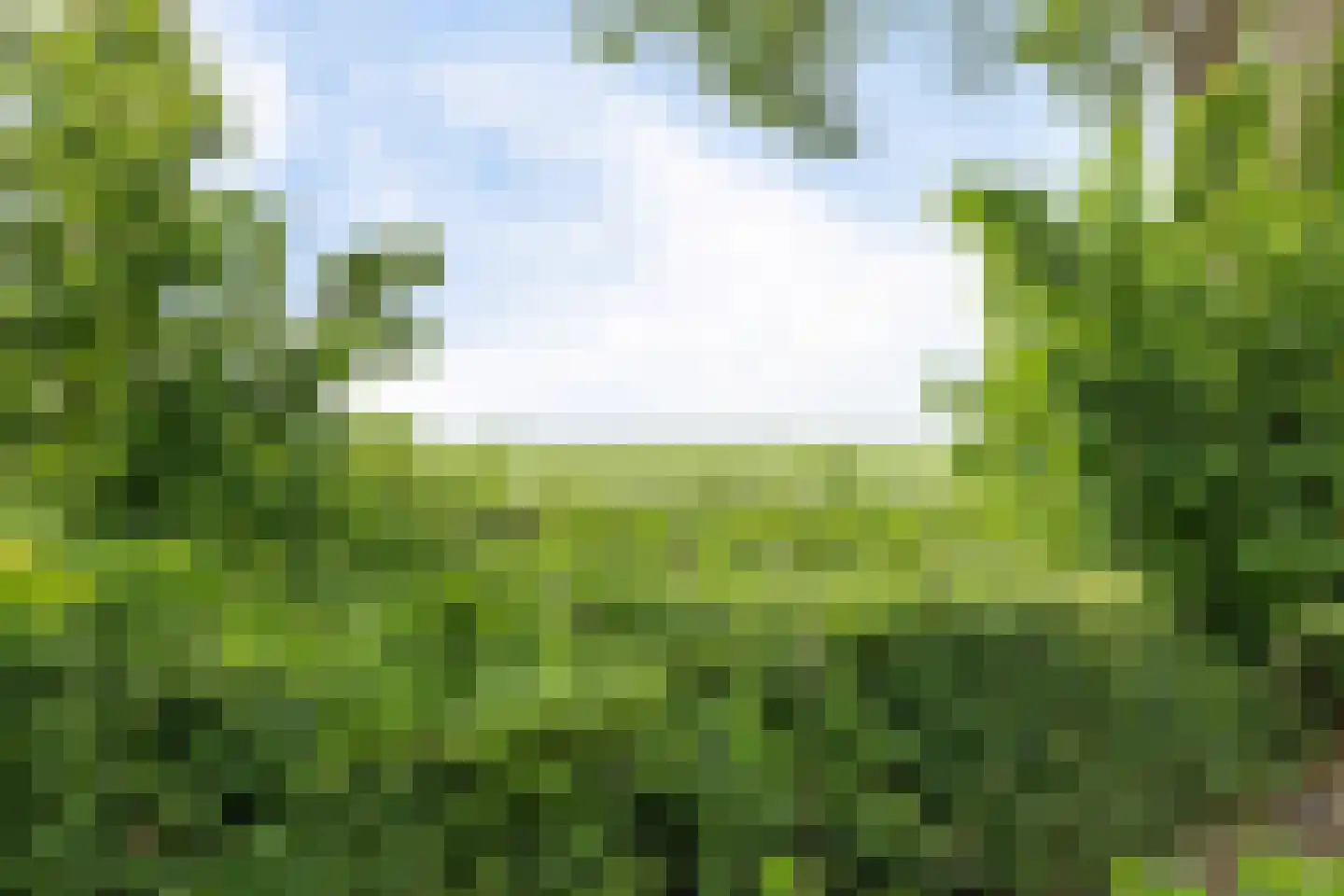 Hooilandseweg 66 Roodeschool thumbnail 35