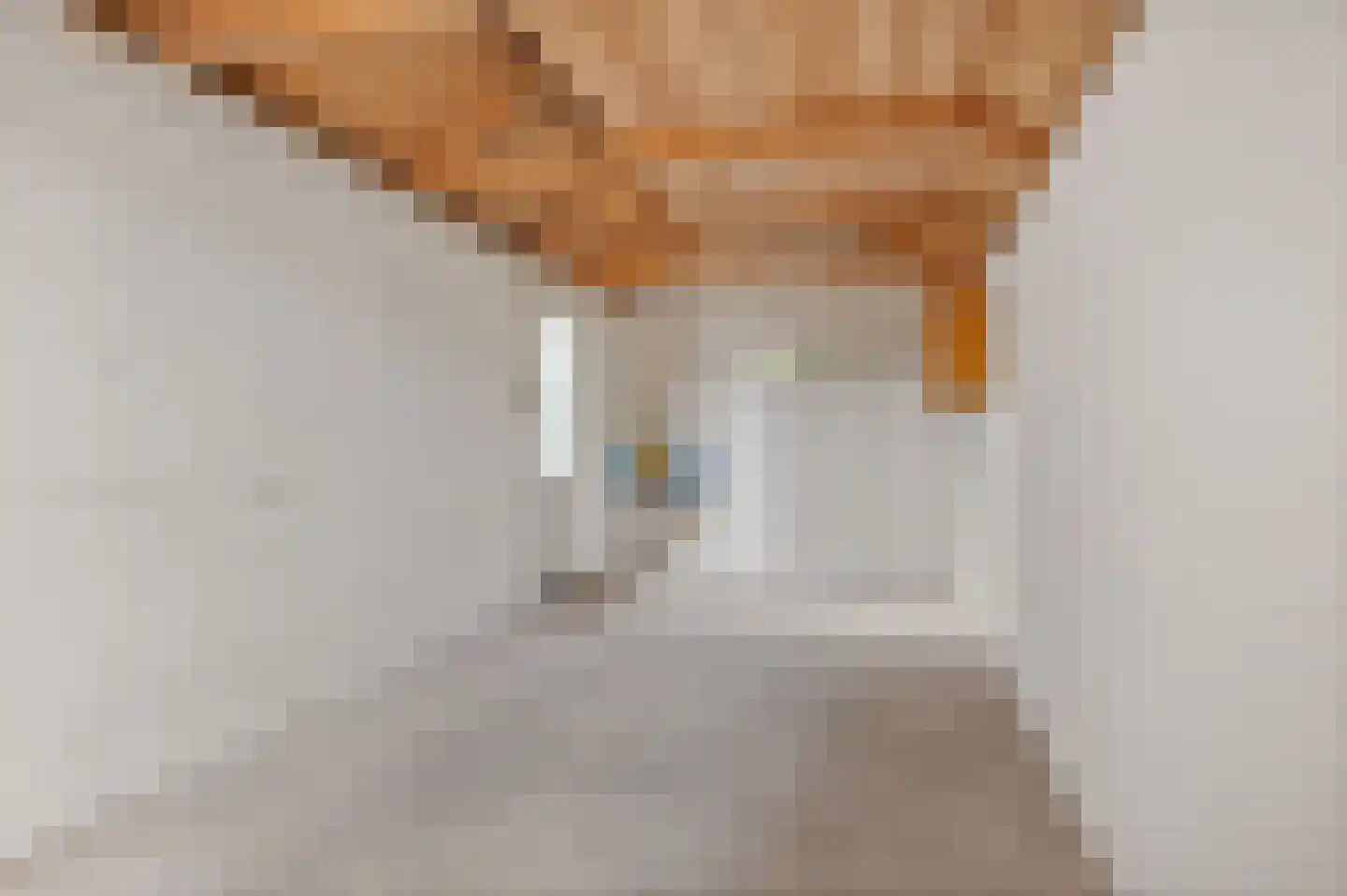 Hooilandseweg 66 Roodeschool thumbnail 38