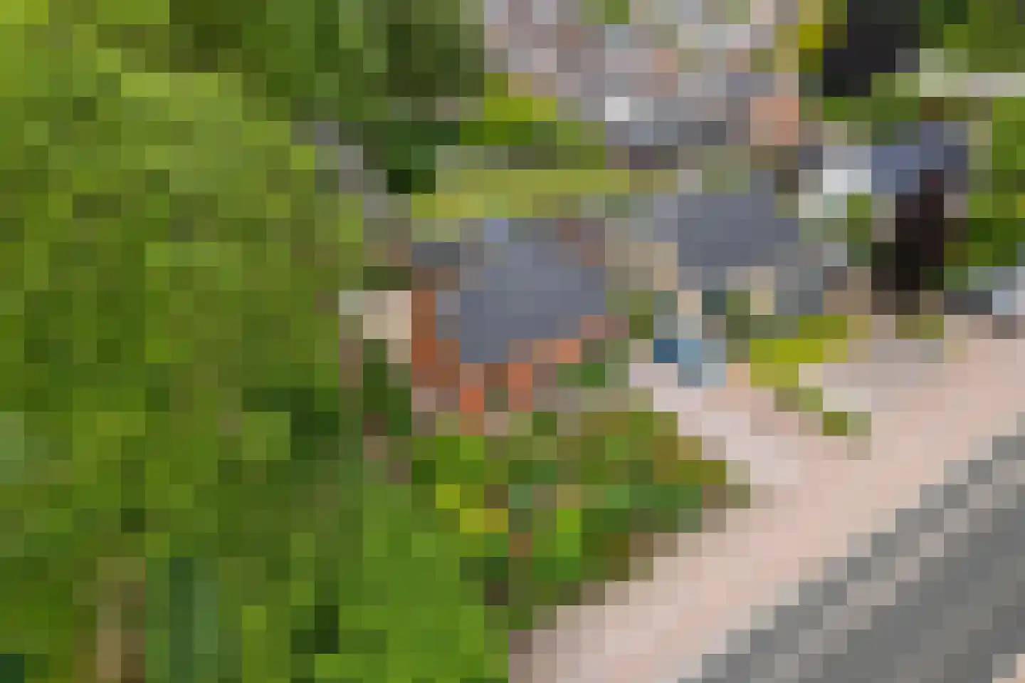 Hooilandseweg 66 Roodeschool thumbnail 5