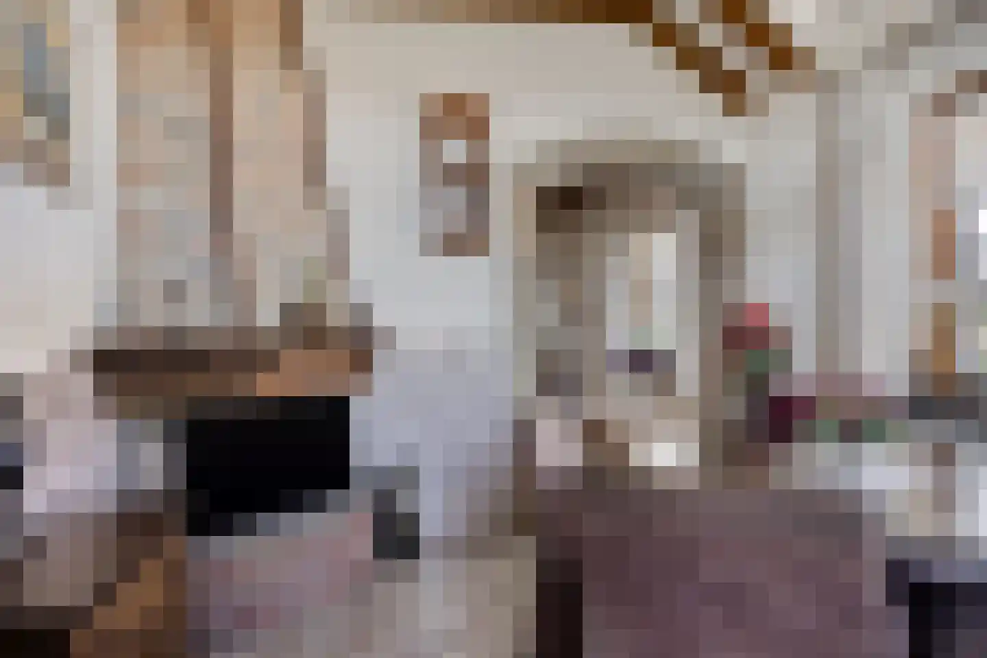 Hooilandweg 10 Mariënheem thumbnail 14