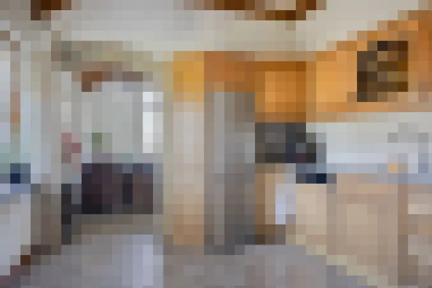 Hooilandweg 10 Mariënheem thumbnail 17