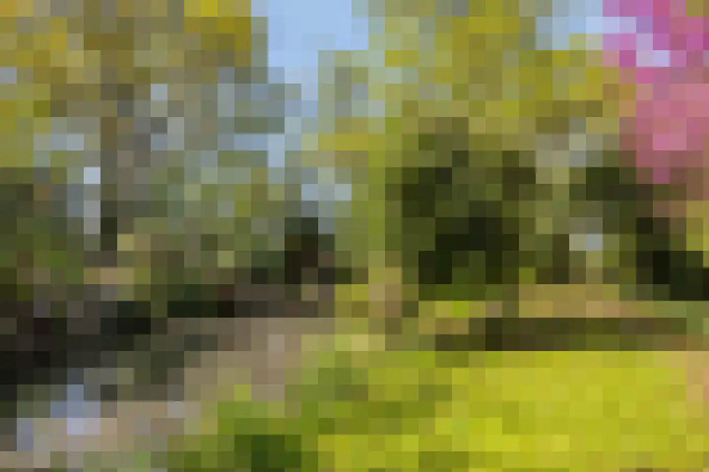 Hooilandweg 10 Mariënheem thumbnail 44