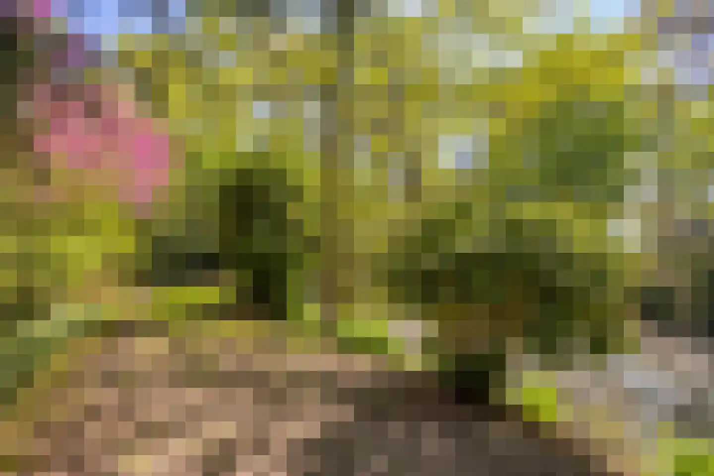 Hooilandweg 10 Mariënheem thumbnail 47