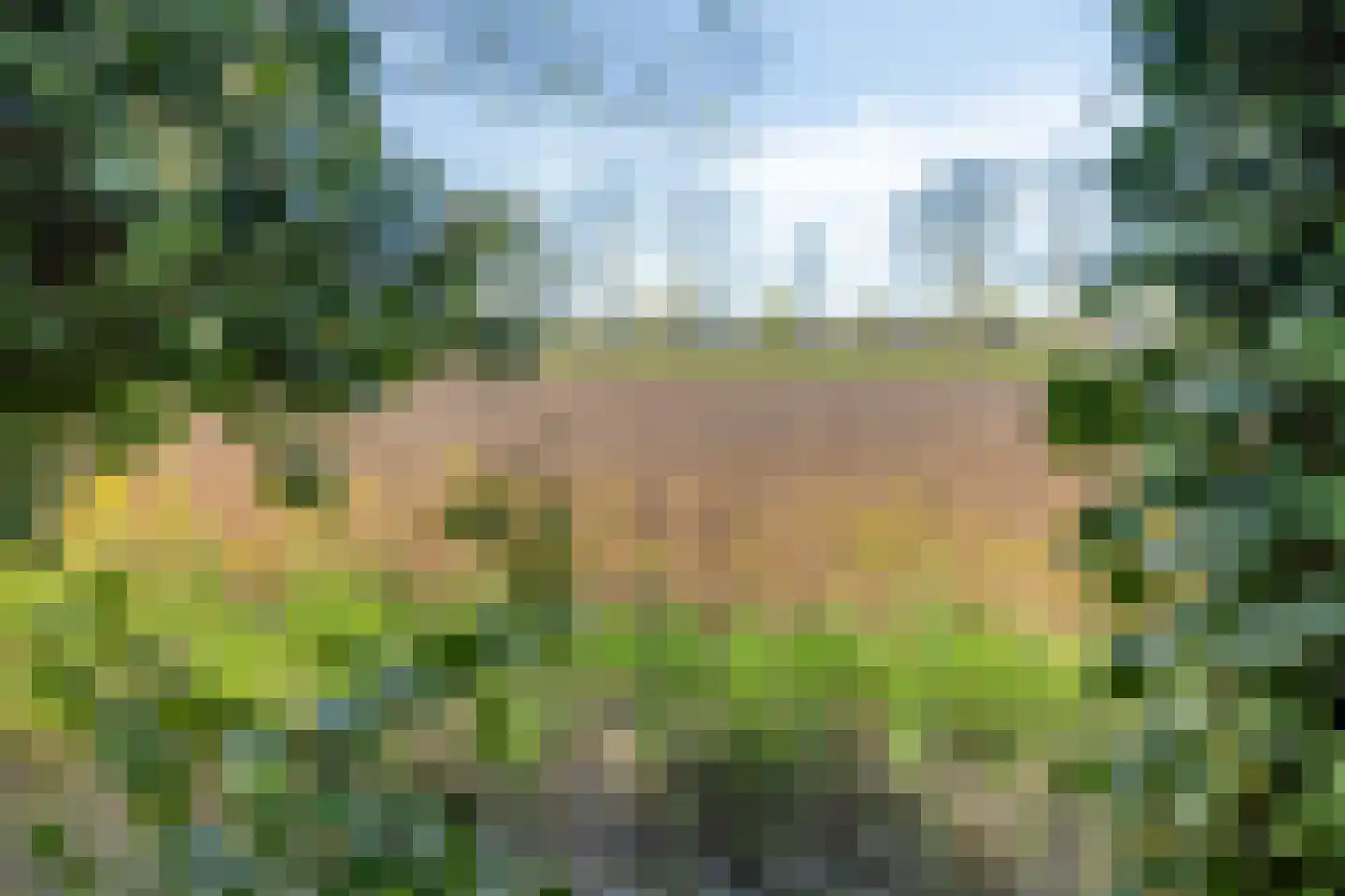 Hooilandweg 10 Mariënheem thumbnail 48
