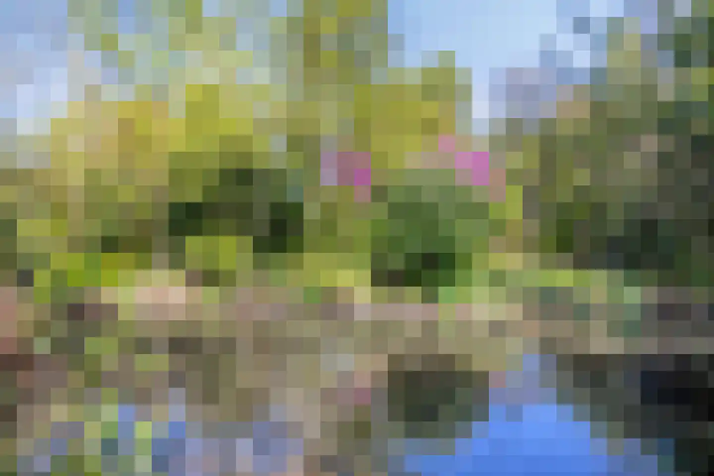 Hooilandweg 10 Mariënheem thumbnail 50