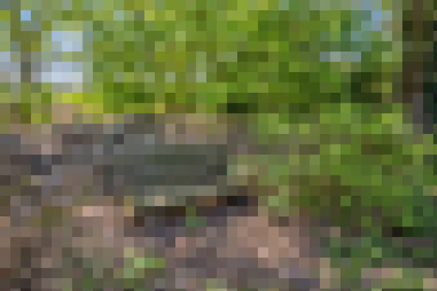 Hooilandweg 10 Mariënheem thumbnail 51
