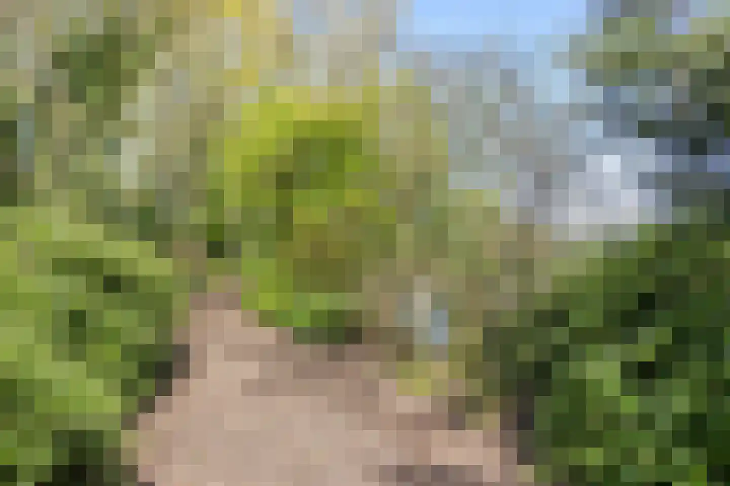 Hooilandweg 10 Mariënheem thumbnail 55