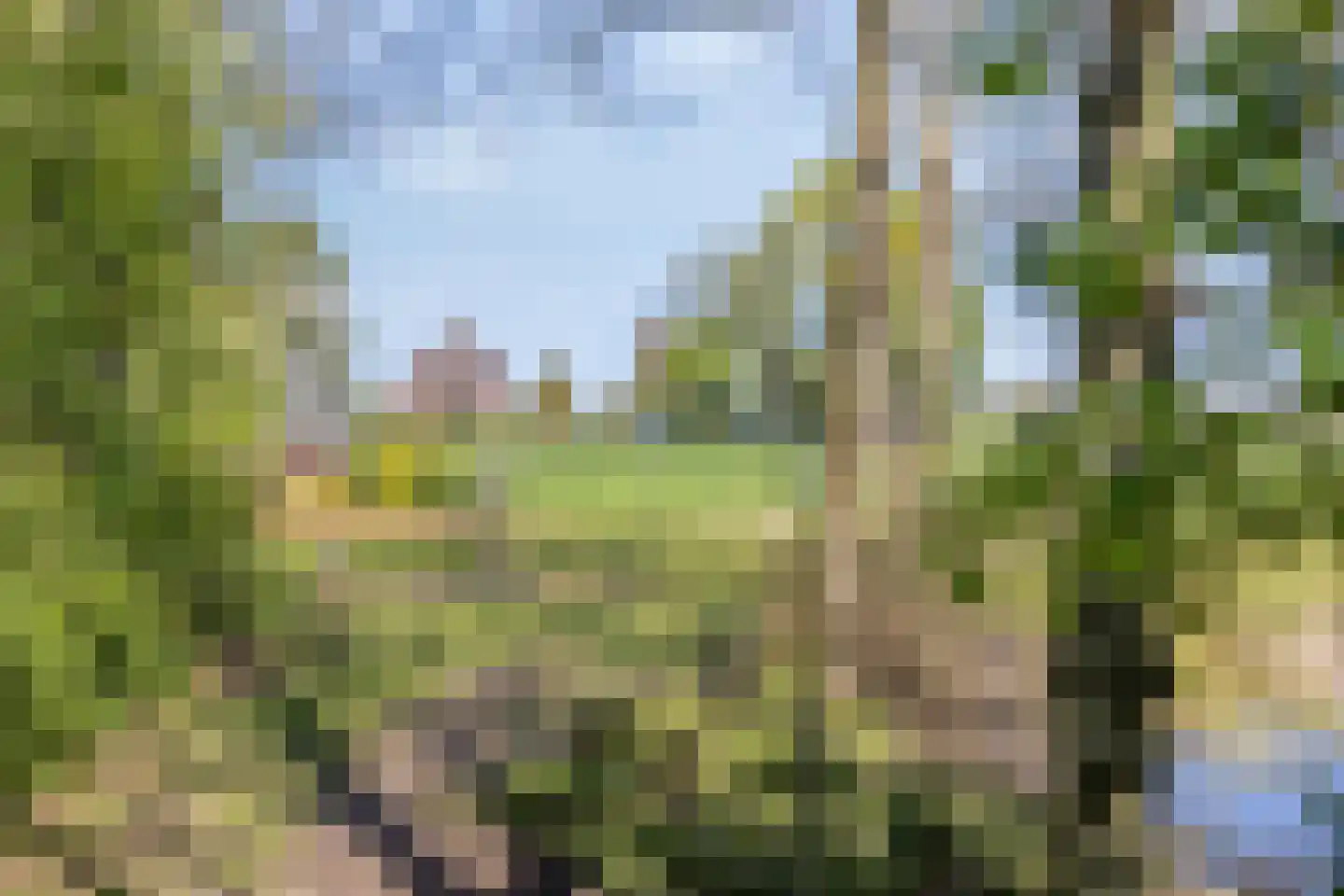 Hooilandweg 10 Mariënheem thumbnail 56